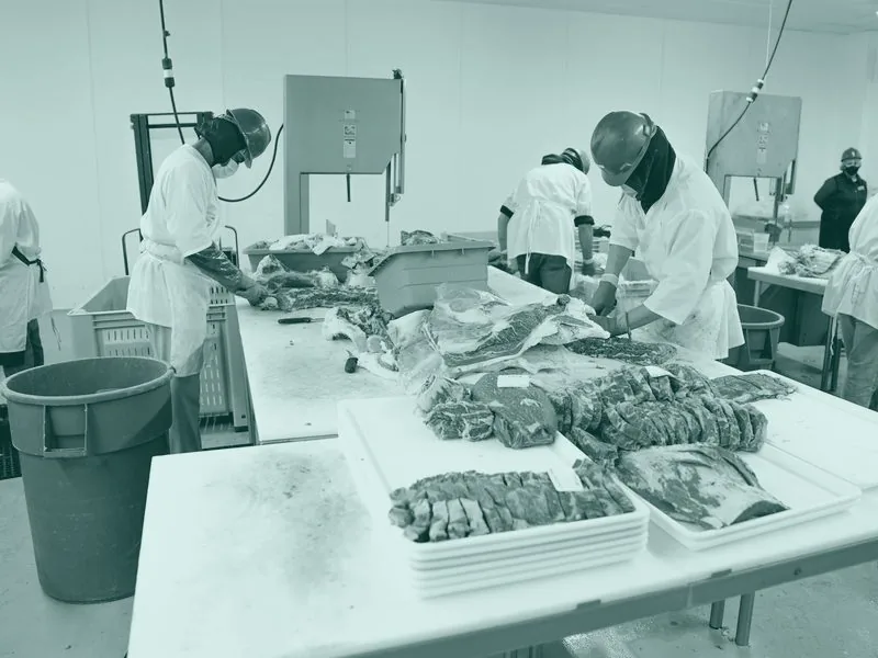 Sala de despiece y elaborados en industria c&aacute;rnica