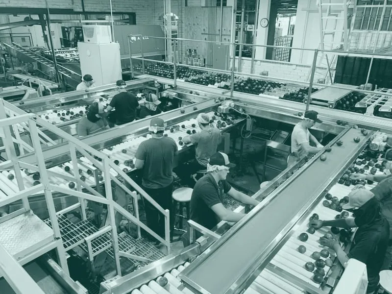 L&iacute;nea de procesado e inspecci&oacute;n de producto